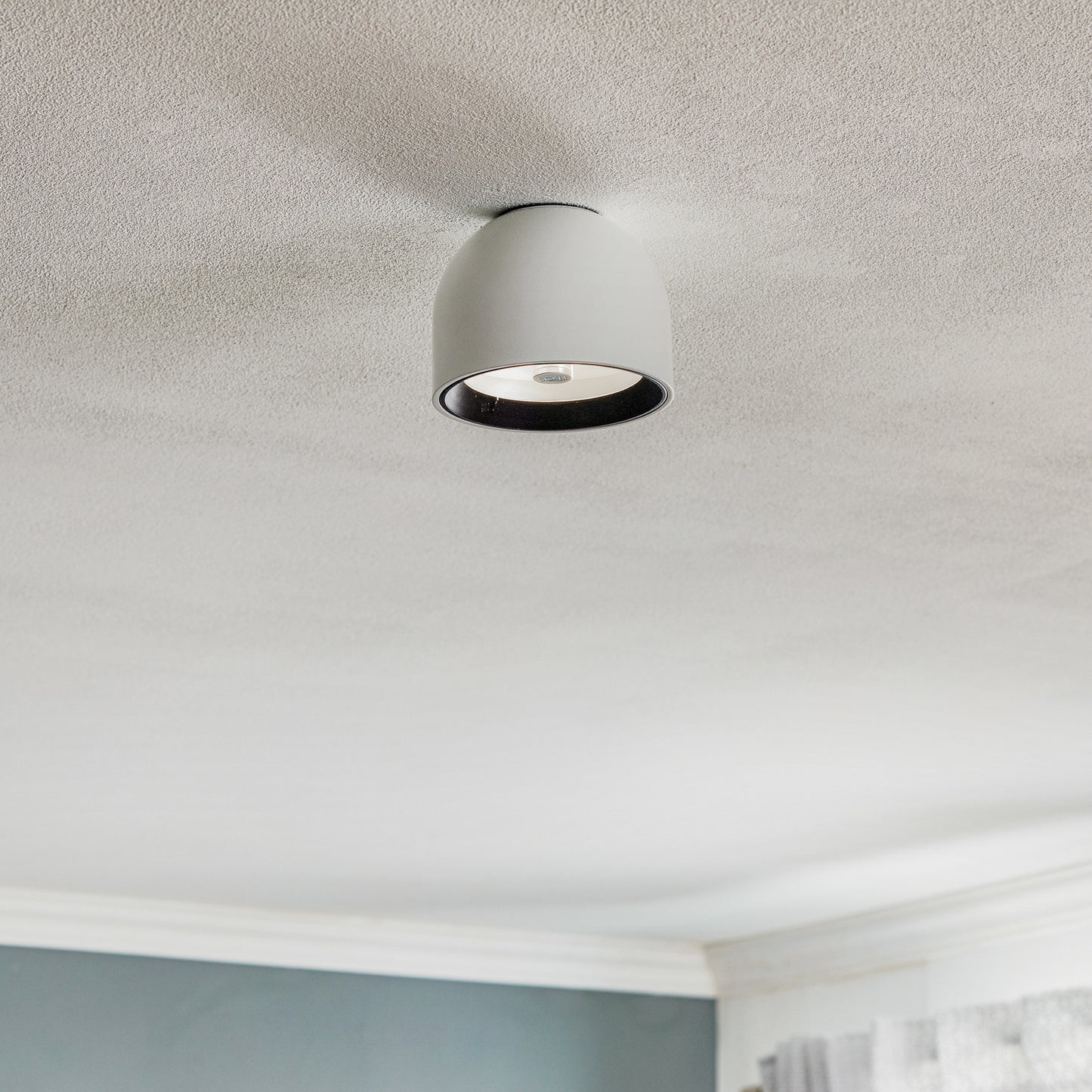 Wan Ceiling/Wall