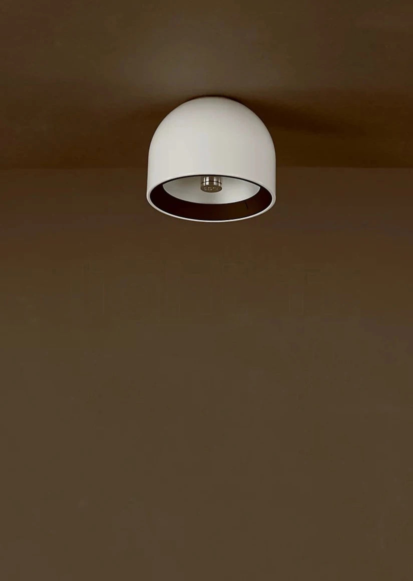 Wan Ceiling/Wall