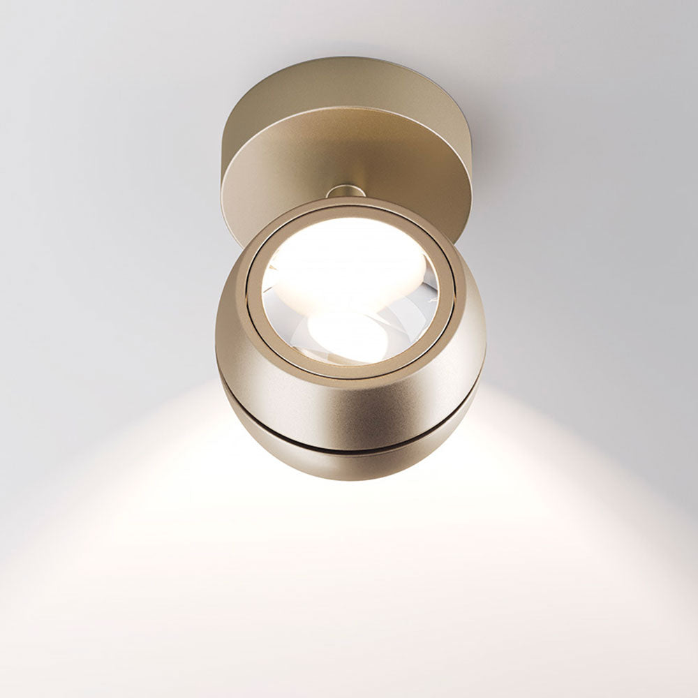 Nautilus Mini applique - Ceriani Luce
