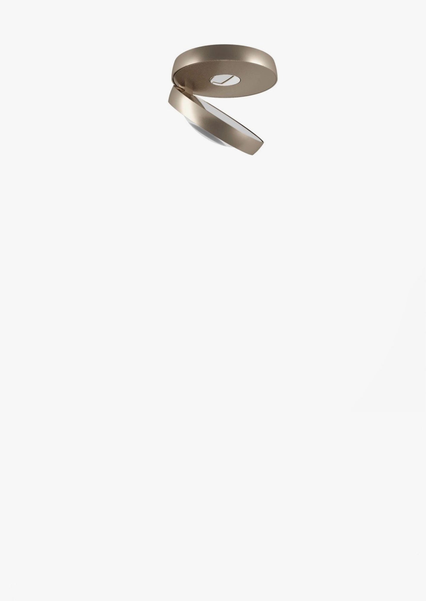 Nautilus soffitto