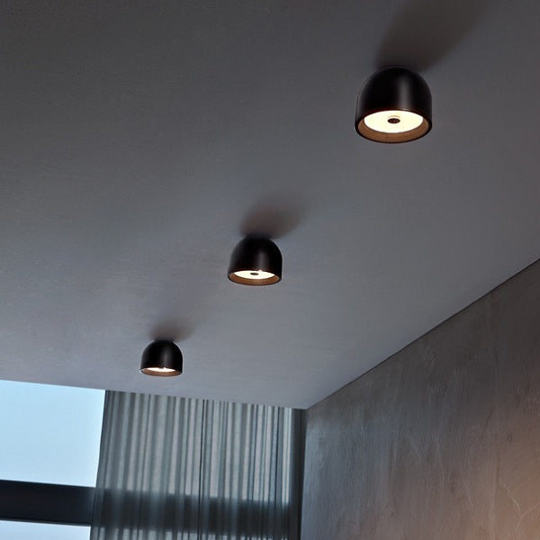 Wan Ceiling/Wall